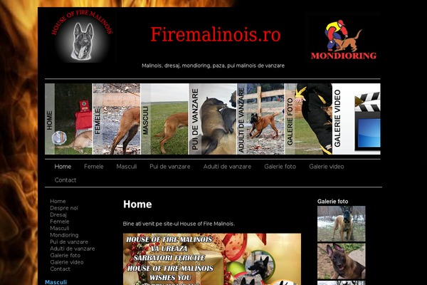 Sliding Door theme site design template sample