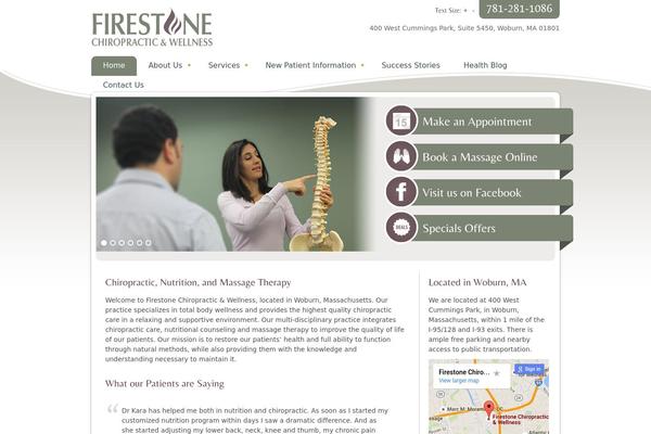 Ellen-mae theme site design template sample