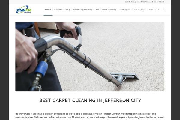 Enfold theme site design template sample