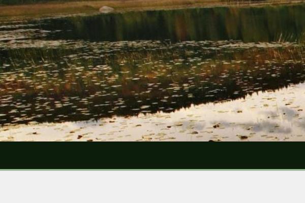 Site using Real Estate Website Builder plugin