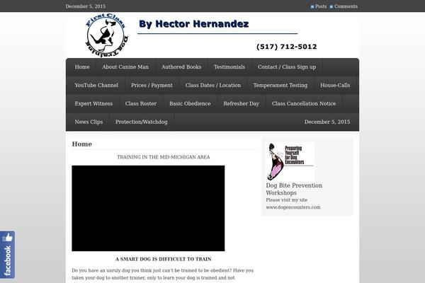 Perth theme site design template sample