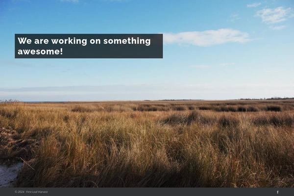 Astra theme site design template sample