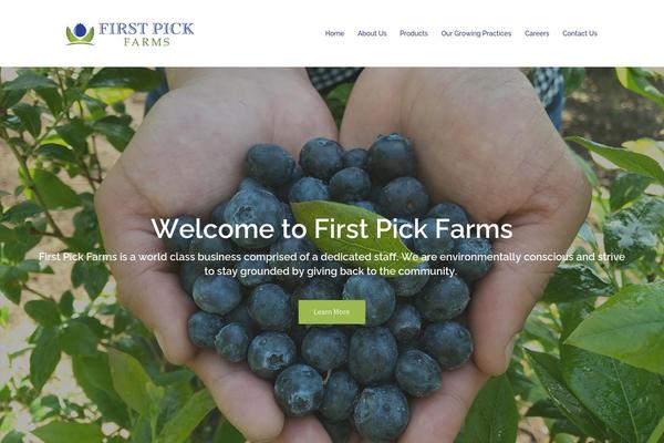 Site using Gravityforms-2 plugin