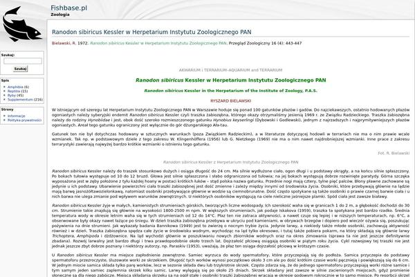 WikiWP theme site design template sample