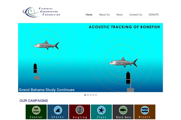Clear Theme theme site design template sample