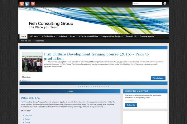 Graphene theme site design template sample