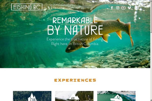 Site using Constant-contact-forms plugin