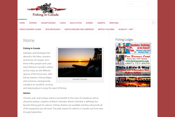 Trim theme site design template sample