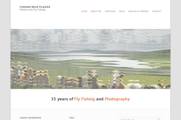 Invicta theme site design template sample