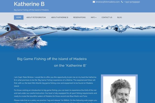 Enigma theme site design template sample