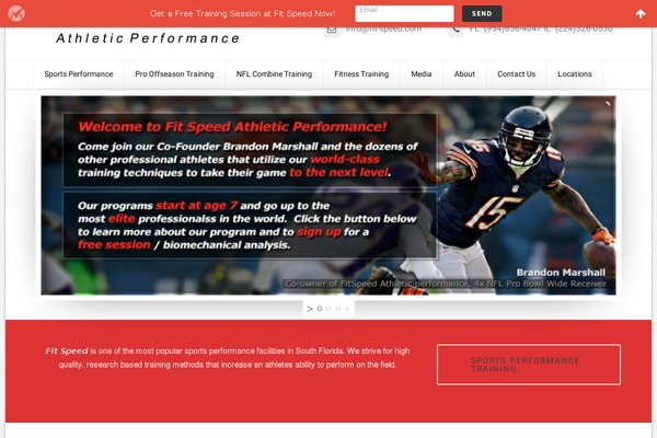 Florida theme site design template sample