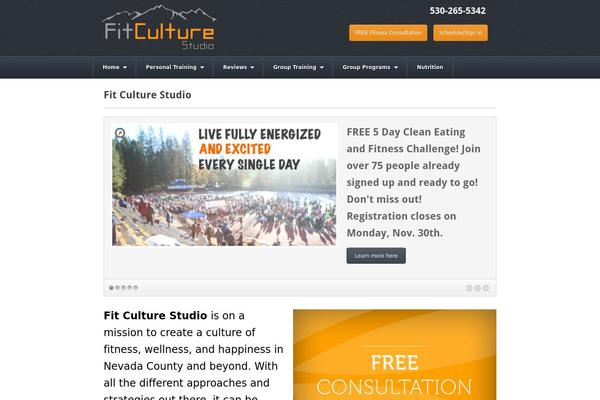 Akita theme site design template sample