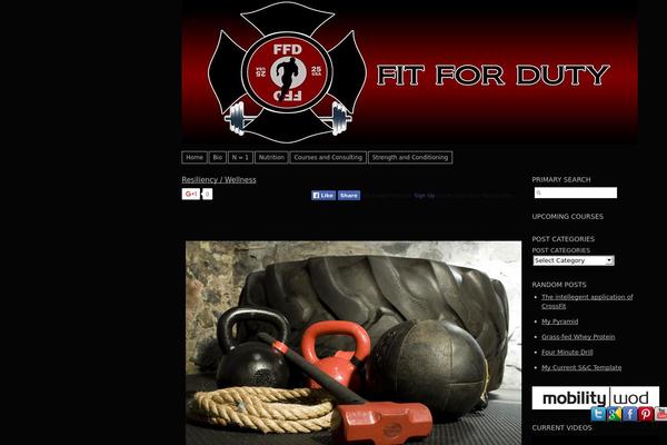 fitfordutyinc.com site used Moonbeams