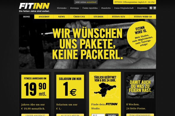 fitinn theme websites examples