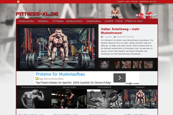 Dynamic News Lite theme site design template sample