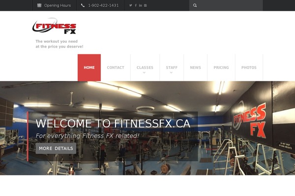 Fit Wp theme site design template sample