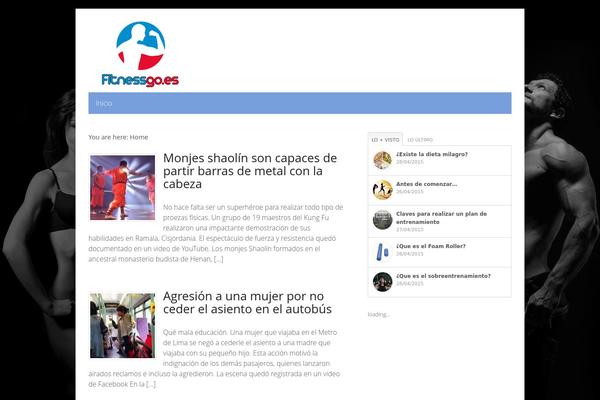 Site using Adsense-click-fraud-monitoring-master plugin
