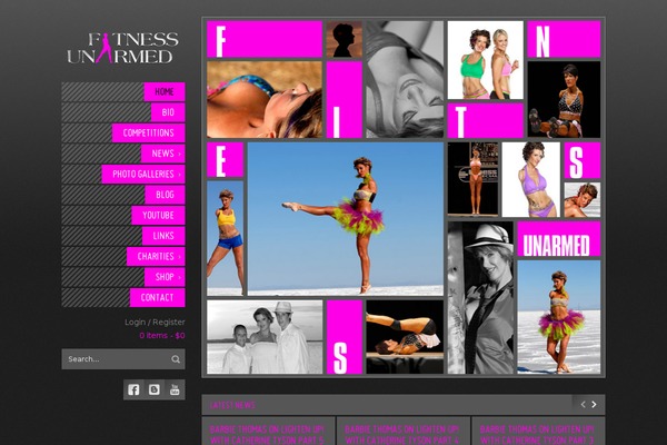 Showycase theme site design template sample