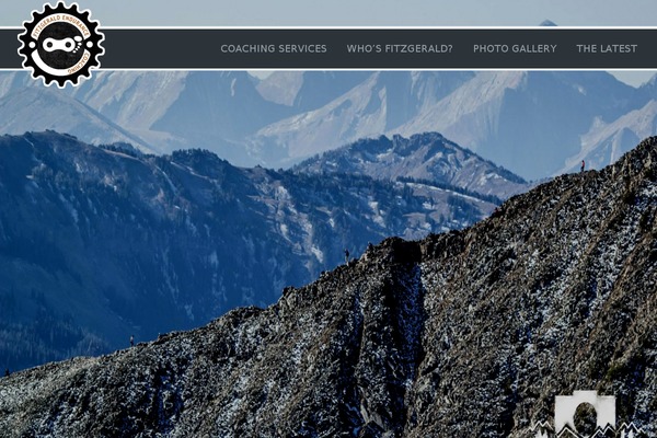 fitzgeraldendurancecoaching.com site used Cohen
