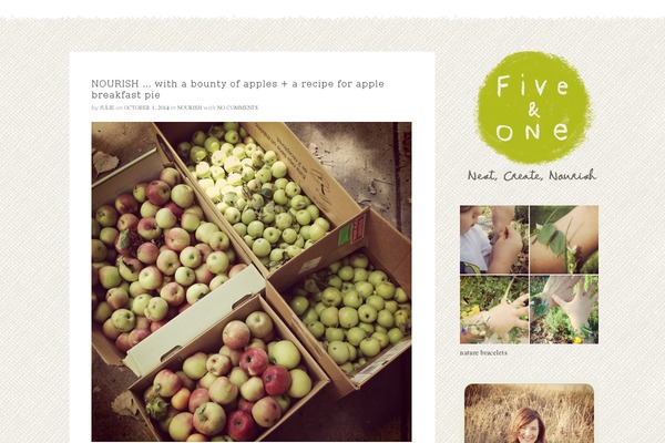 fiveandone.net site used Premium-pixels-package