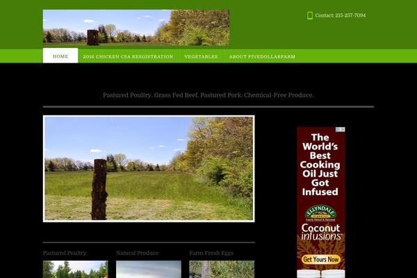 Appointway theme site design template sample