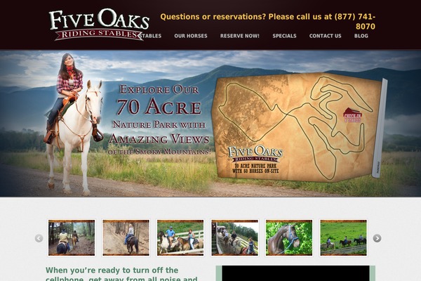 fiveoaksridingstables.com site used Momento