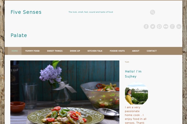 Site using All in One SEO Pack plugin