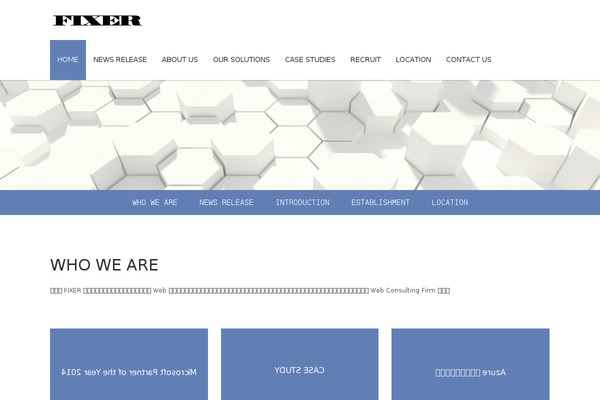 Infographer theme site design template sample