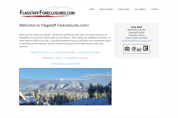 Tiga theme site design template sample