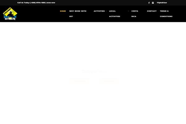 Salbii theme site design template sample