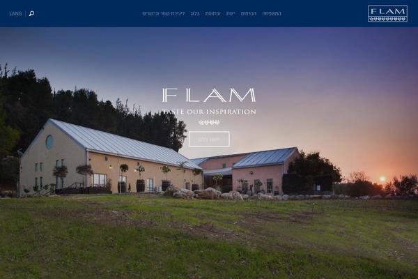 flam theme websites examples