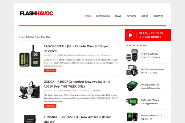 Authentic theme site design template sample