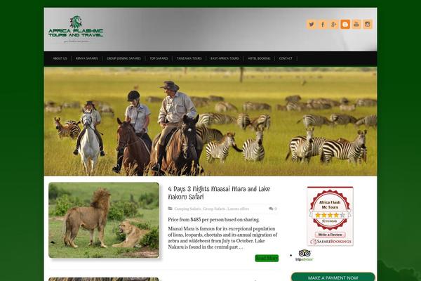 Alterna theme site design template sample