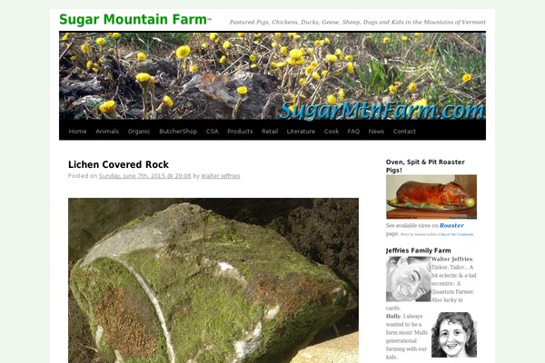 flashweb.com site used Twentytenwvj