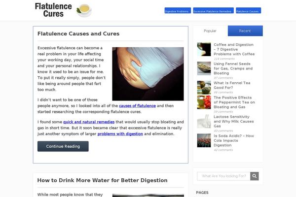 Focusblog theme site design template sample