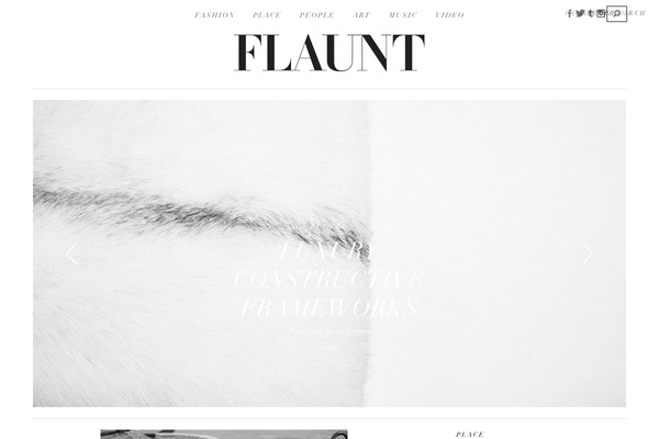 flaunt theme websites examples