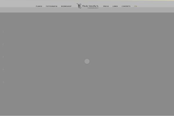 Vega theme site design template sample