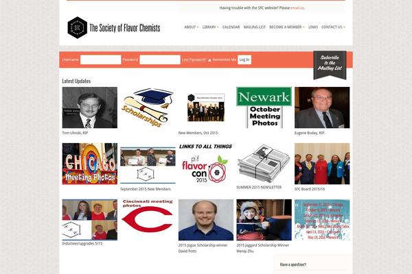 Studeo theme site design template sample