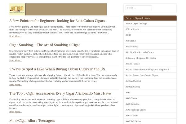 Ultimate Silostorm Pro theme site design template sample