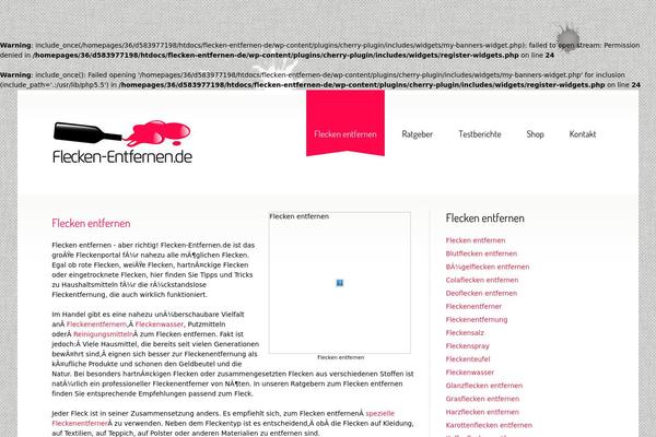 Site using Google Captcha (reCAPTCHA) by BestWebSoft plugin