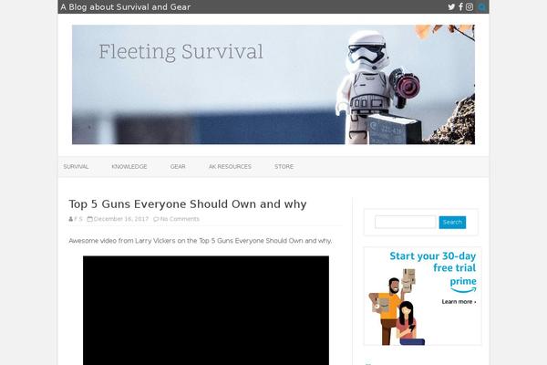 Site using Google Analytics Dashboard By Analytify plugin