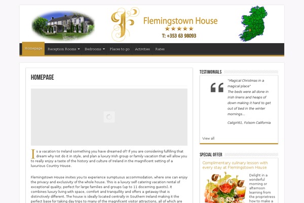 flemingstown theme websites examples