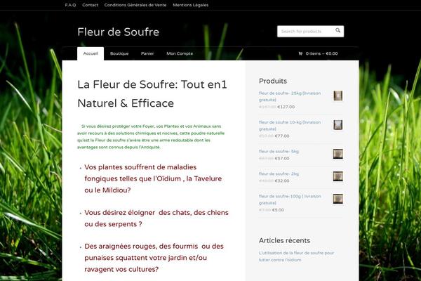 Wootique theme site design template sample