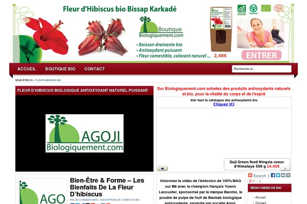 Lugada theme site design template sample