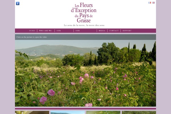 Big Easy theme site design template sample