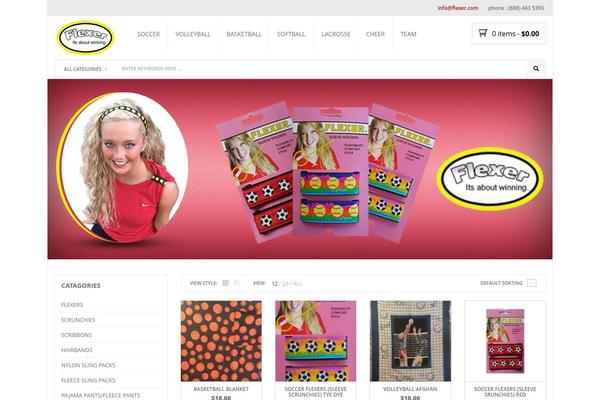 Nielsen theme site design template sample