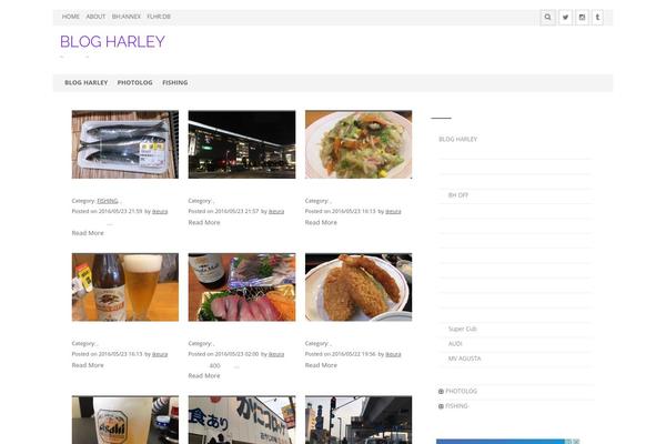 flhr.net site used Protopress-pro