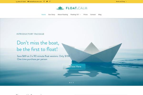 Divi theme site design template sample