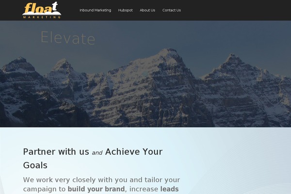 Vivacity theme site design template sample