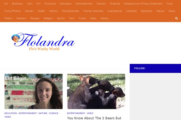 Hueman theme site design template sample